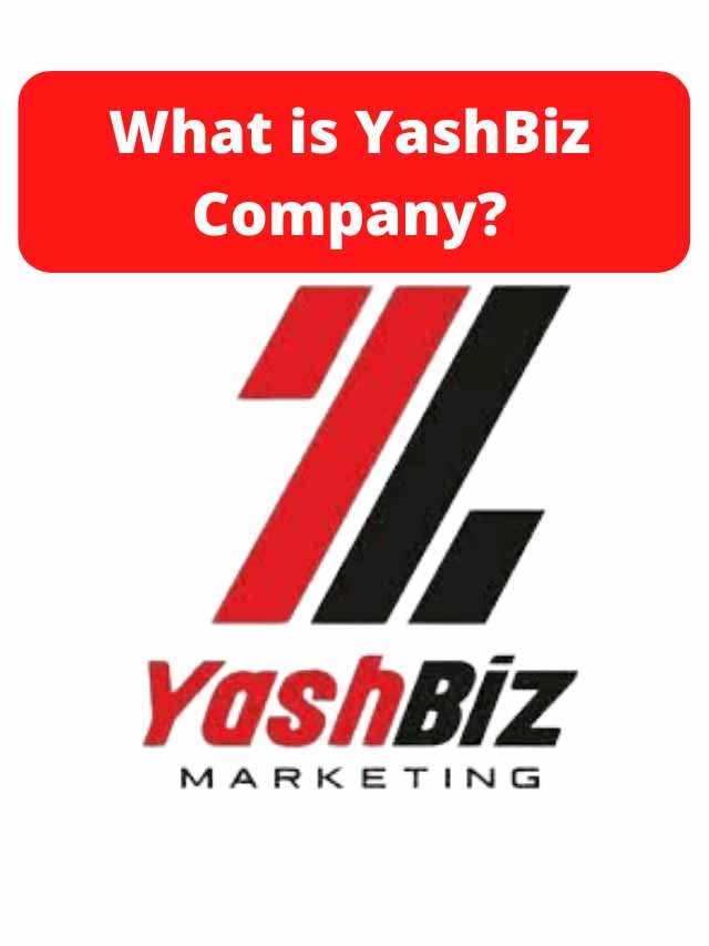 Read more about the article What is Yashbiz Company ?