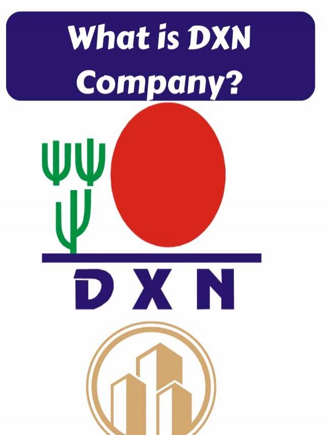 Significado del logotipo DXN | Elisa Ti Poit