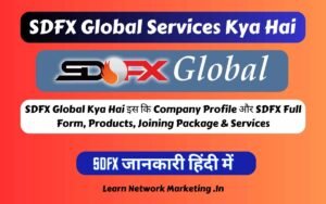Read more about the article SDFX Global Services Kya Hai सम्पूर्ण जानकारी हिंदी में!