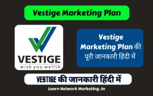 Read more about the article Vestige Marketing Plan की पूरी जानकारी हिंदी में 2024